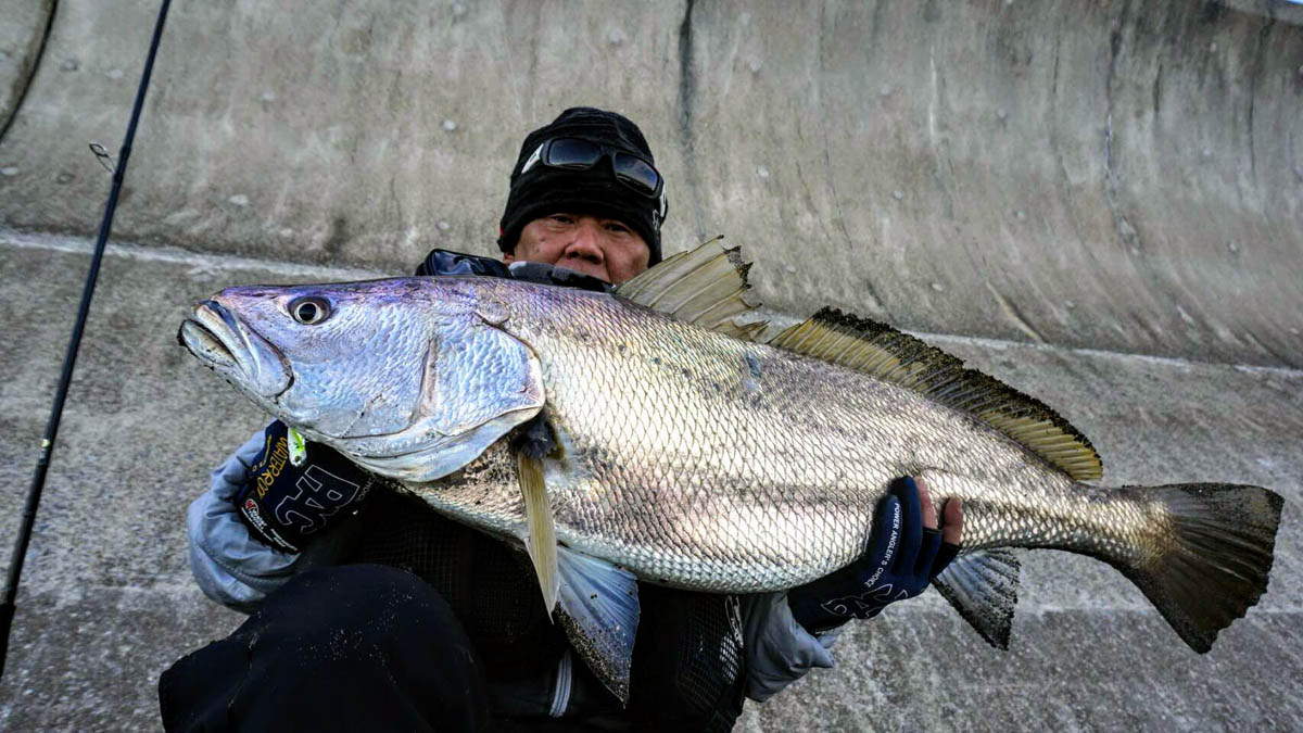 サーフ天国・宮崎県の名手が答える！ サーフフィッシングQ＆A 時合と